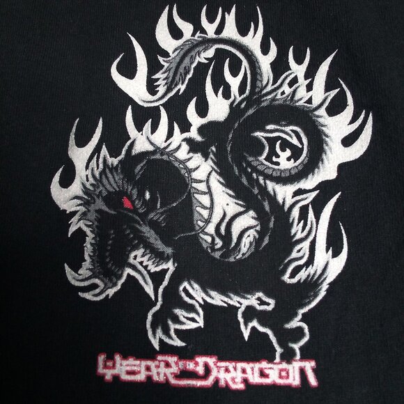 Vintage Y2K Year Of The Dragon Skater Long Sleeve T-Shirt - Picture 4 of 8